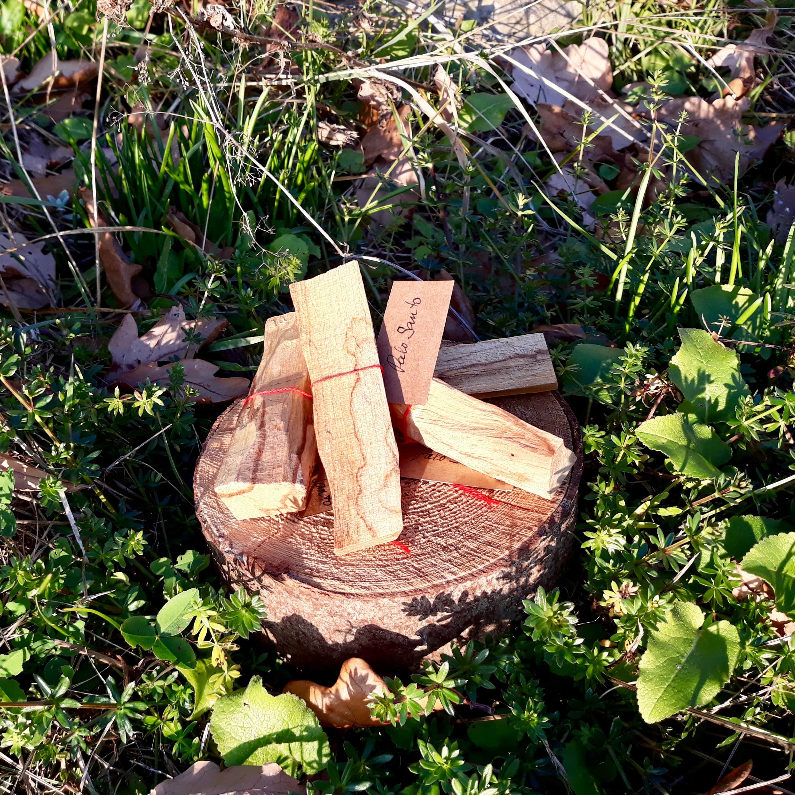 Palo Santo - 10g