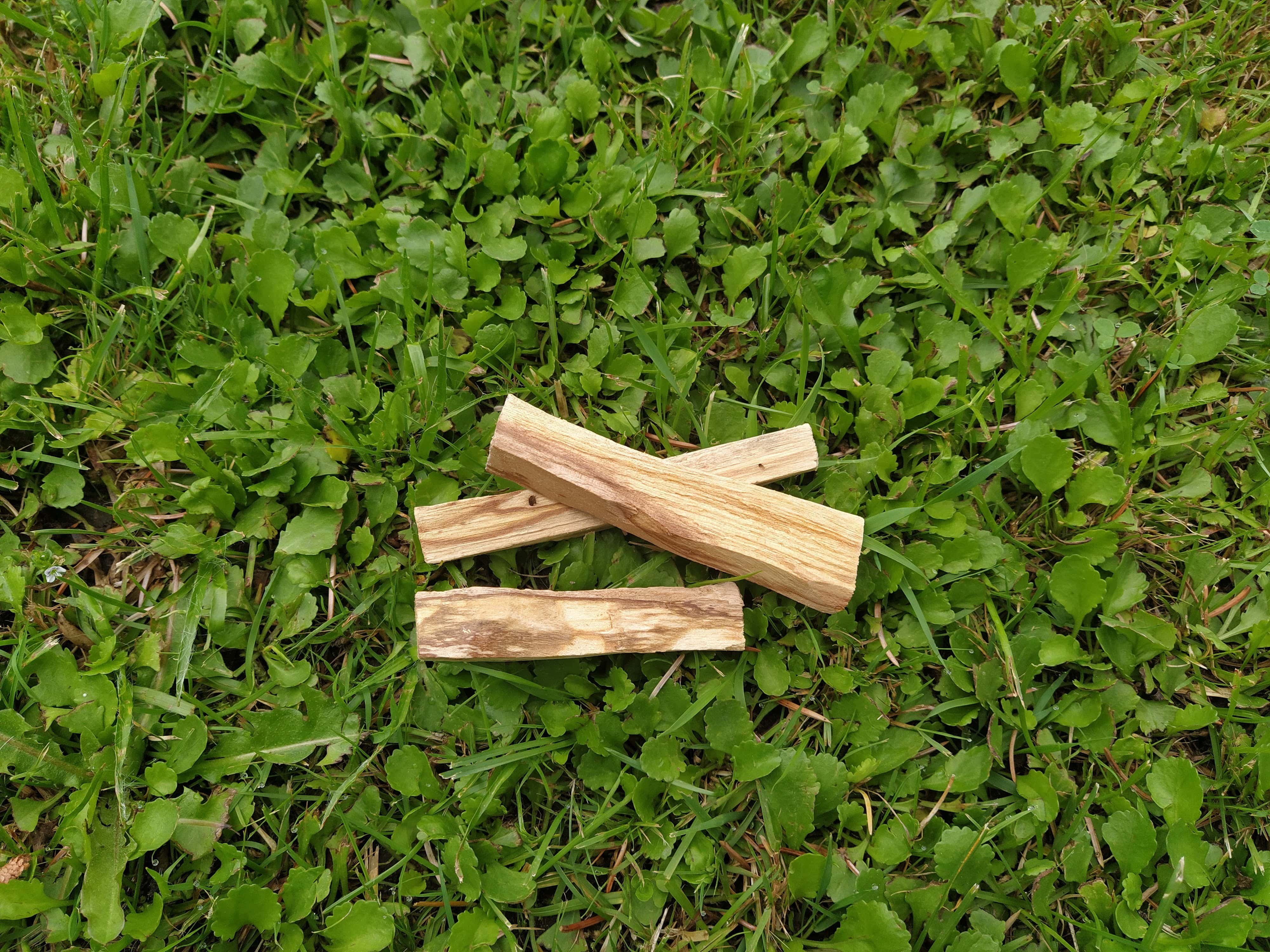 Palo Santo - 10g